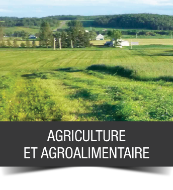 accueil_1_agriculture_agroalimentaire